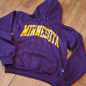⭐️3 FOR $20⭐️Championship Minnesota hoodie